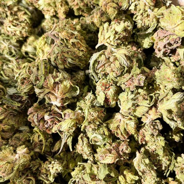 Abacus Diesel Hemp CBD Flowers from Elli-Hou Farms for CBD Alternative Wellness