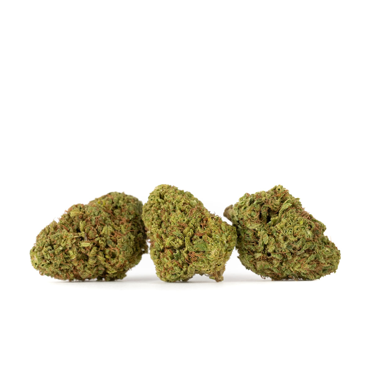 sour chem 2025 bigs 05