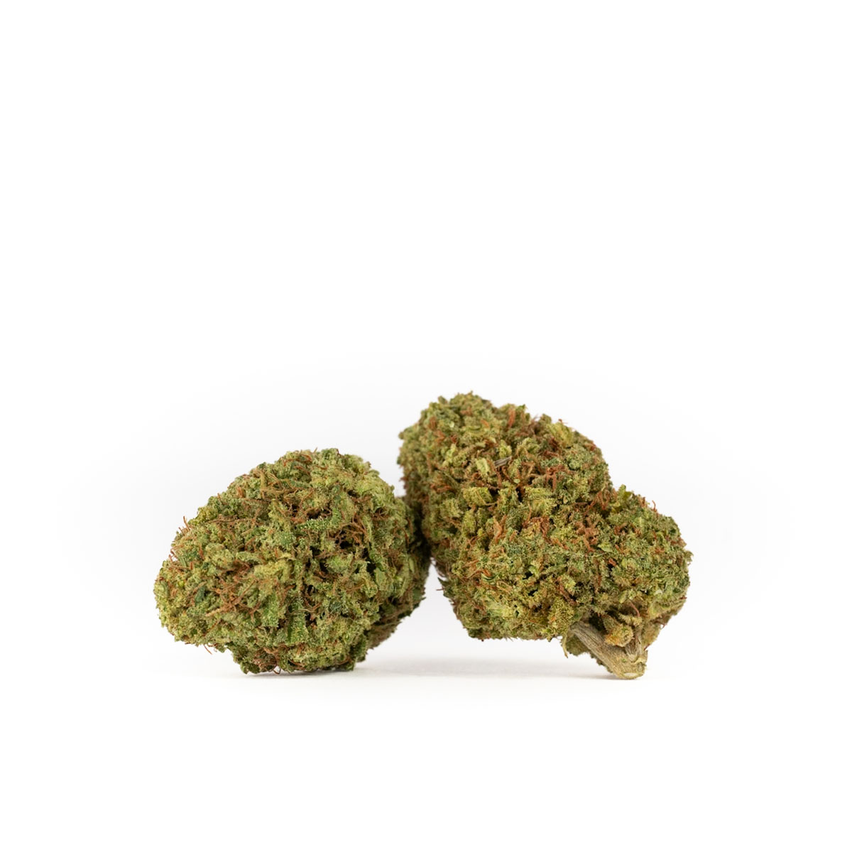 sour chem 2025 bigs 06