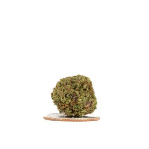 strawberry filter 2025 smalls 08