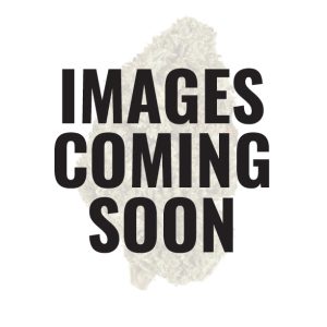 Sour Suver Haze 2025