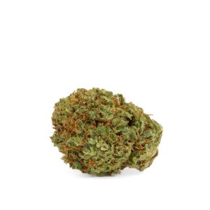 Sour Suver Haze 2025