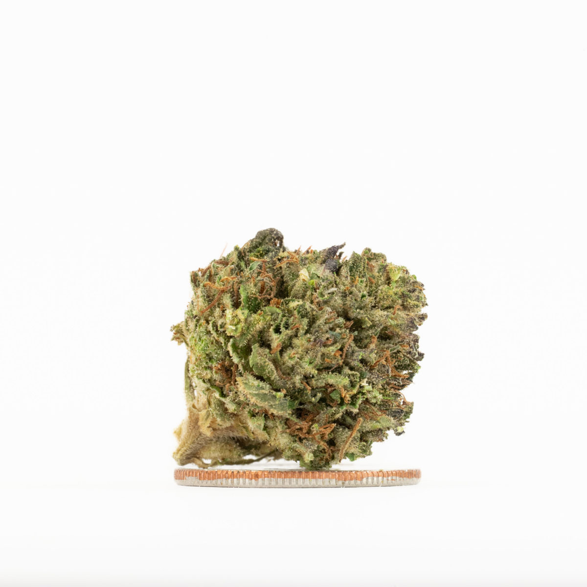 bubba kush 59 2025 smalls 05