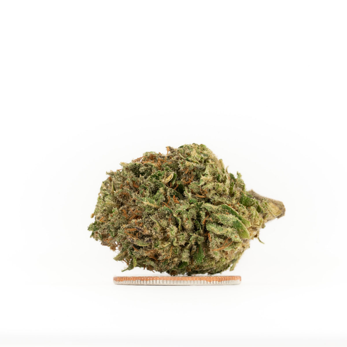 bubba kush 59 2025 smalls 06