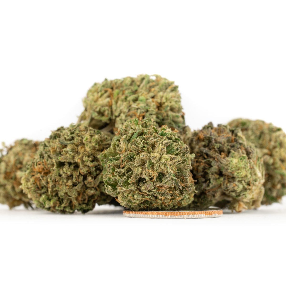 bubba kush 59 2025 smalls 07