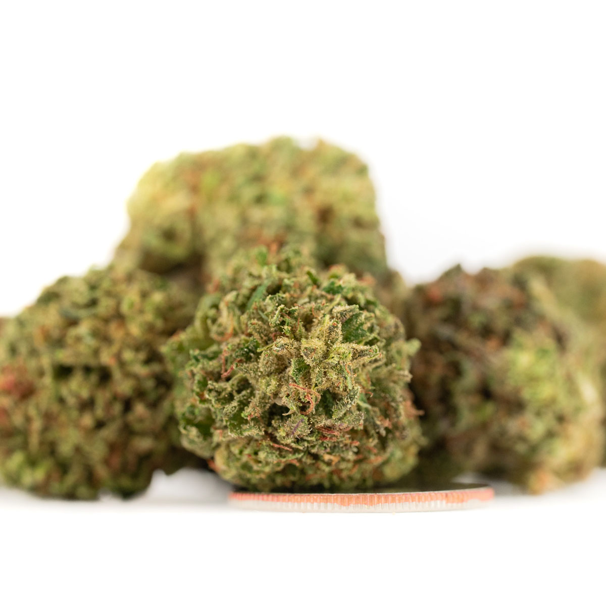 bubba kush 59 2025 smalls 08