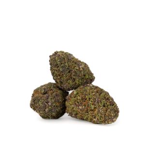 Orange Filter 2025 Bigs