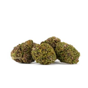 purple snowman 2025 bigs 07