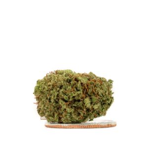 sour chem 2025 smalls 04