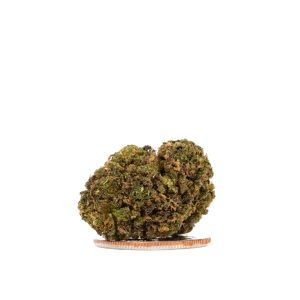 Fruit loop (Forbidden Fruit) 2025 Smalls