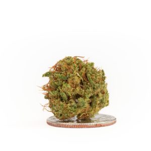 Super Sour Suver 2025 Smalls